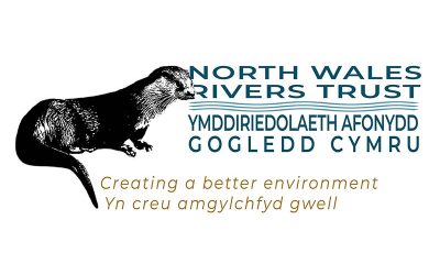 North Wales Rivers Trust Operations Manager Vacancy