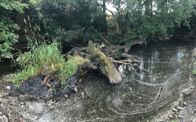 Barrier Removals on the Afon Tywi