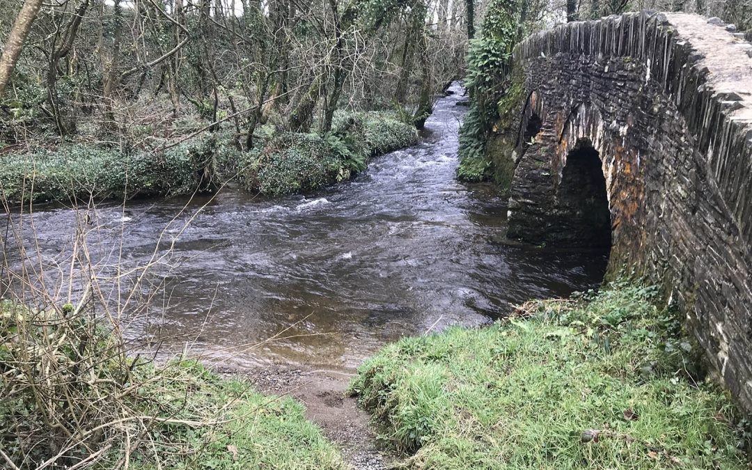 Inland Fisheries Habitat Walkover Surveys