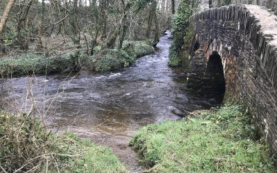 Inland Fisheries Habitat Walkover Surveys