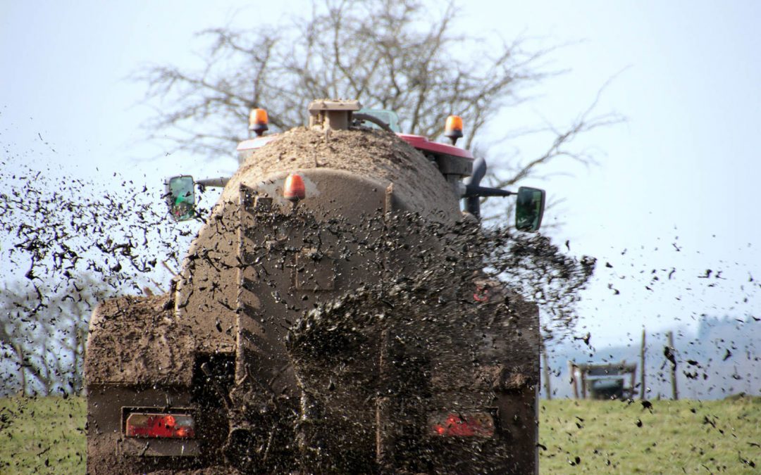 A Win For Welsh Rivers?
