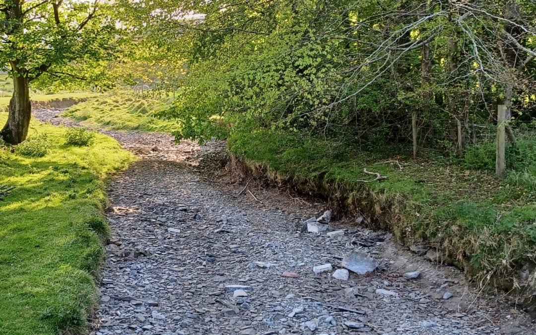 The Emerging Drought In Wales – Is Enough Being Done To Protect Rivers?