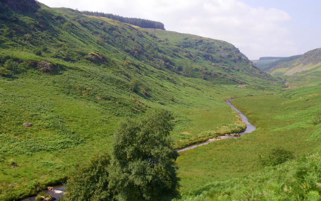 NRW Core Management Plans For Rivers Not Fit For Purpose