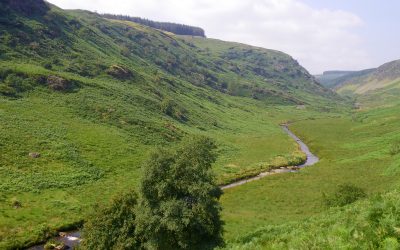 NRW Core Management Plans For Rivers Not Fit For Purpose