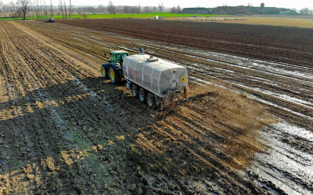 Digestate