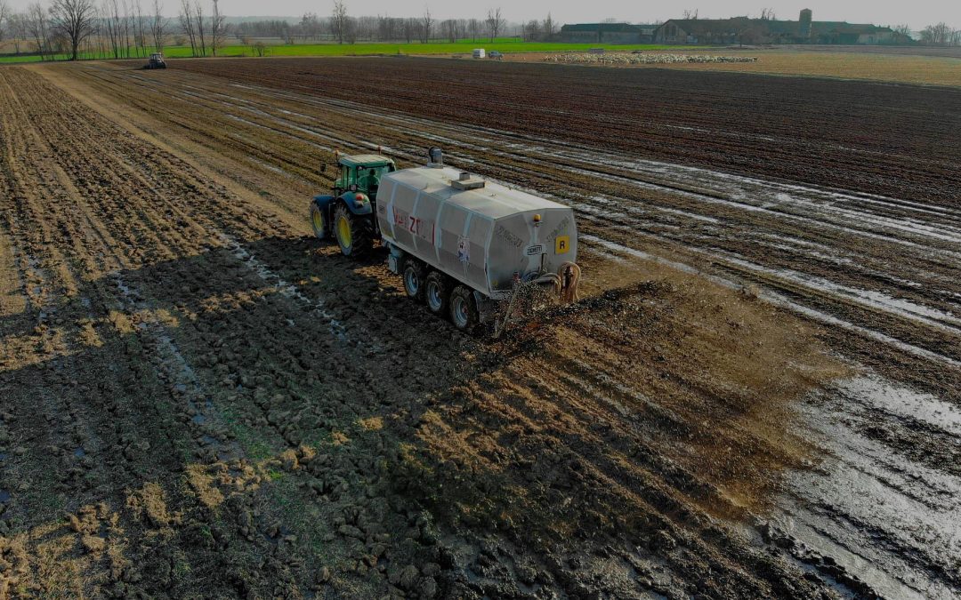 Second Phosphorus Summit: Our Summary