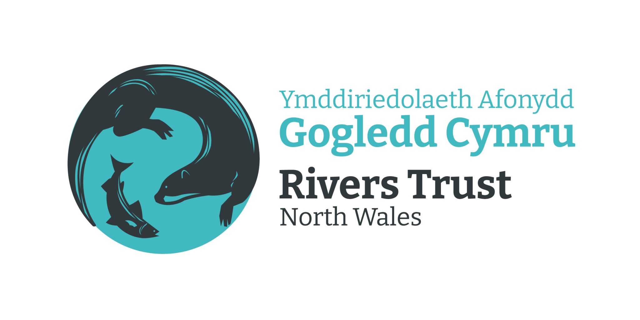 Rivers Trust Logo Master _Landscape_colour-01