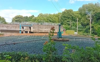 Welsh Water Downgraded For Its Environmental Performance