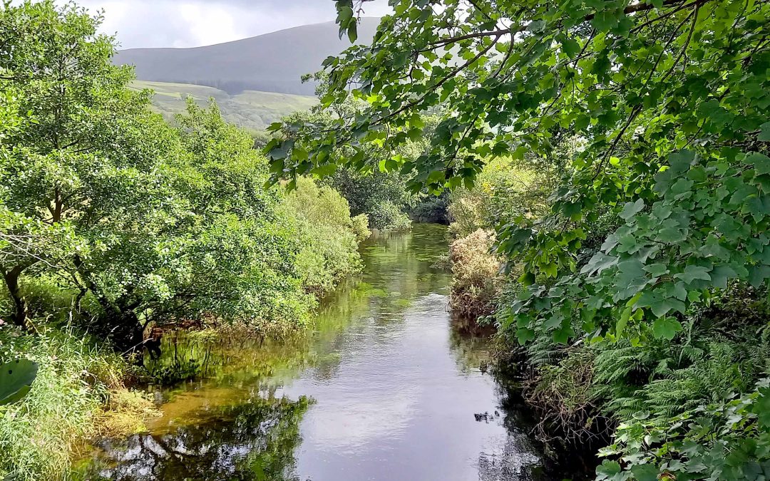 Afon Gwyrfai