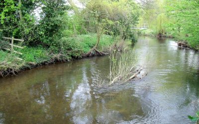 Afon Alyn