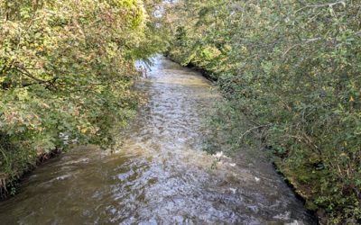 River Ely