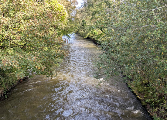 River Ely