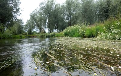 River Teme