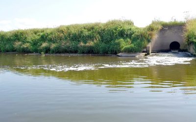 Interim Joint Water Industry Report