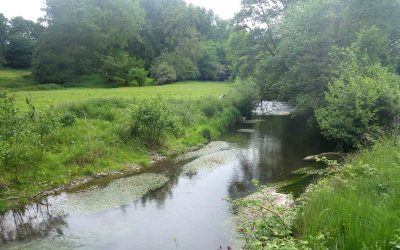 Welsh Government’s Sustainable Farming Scheme