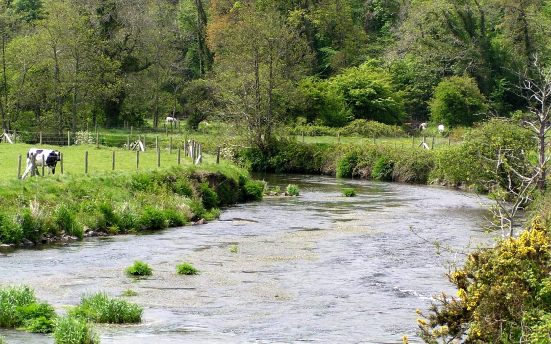 The Eastern And Western Cleddau