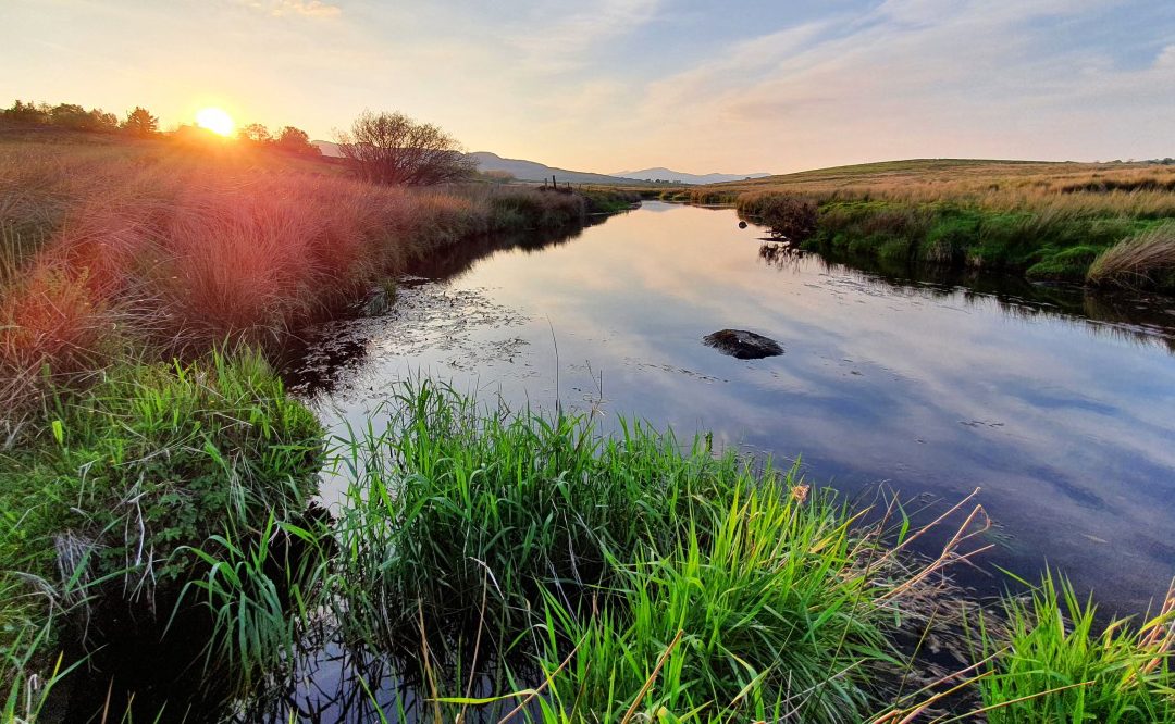 Afon Eden