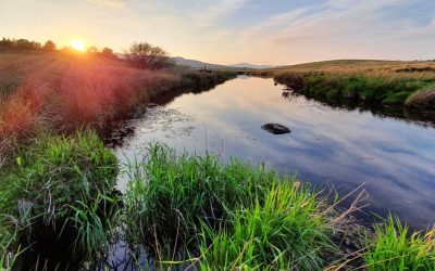 Afon Eden