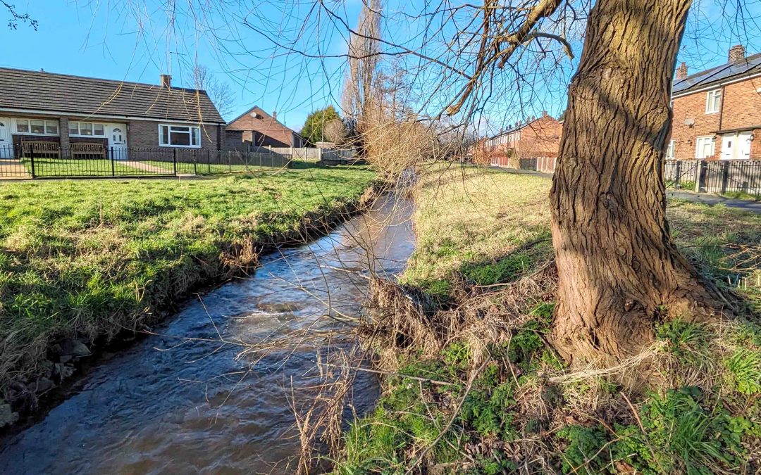 Afon Gwenfro