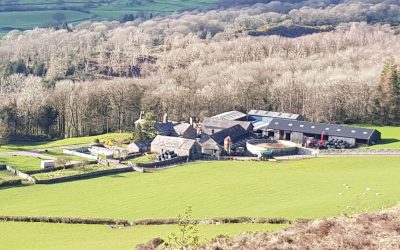 Slurry Stores: A Ticking Time Bomb For Welsh Rivers?