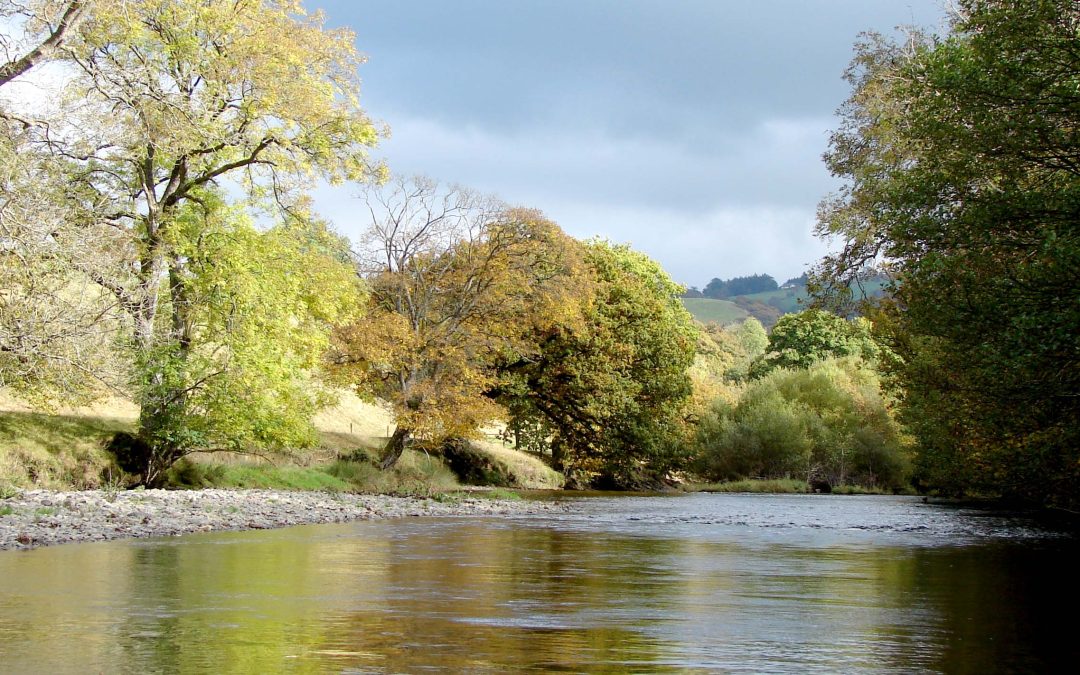 Afon Irfon