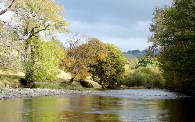 Afon Irfon