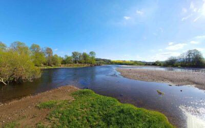 Latest River Water Quality Results For Wales