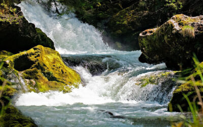 The Water Sector In Wales – Is A Big Shake Up Required?