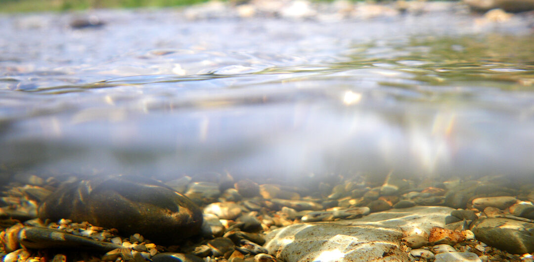 Smothering River Beds