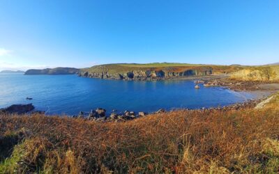 Widespread Failure In Wales Marine Protected Areas