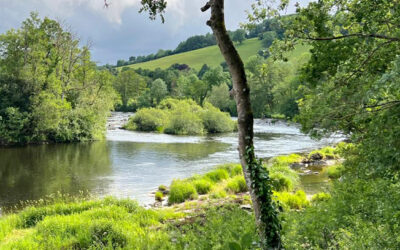 New Welsh Environmental Legislation Introduced To Senedd