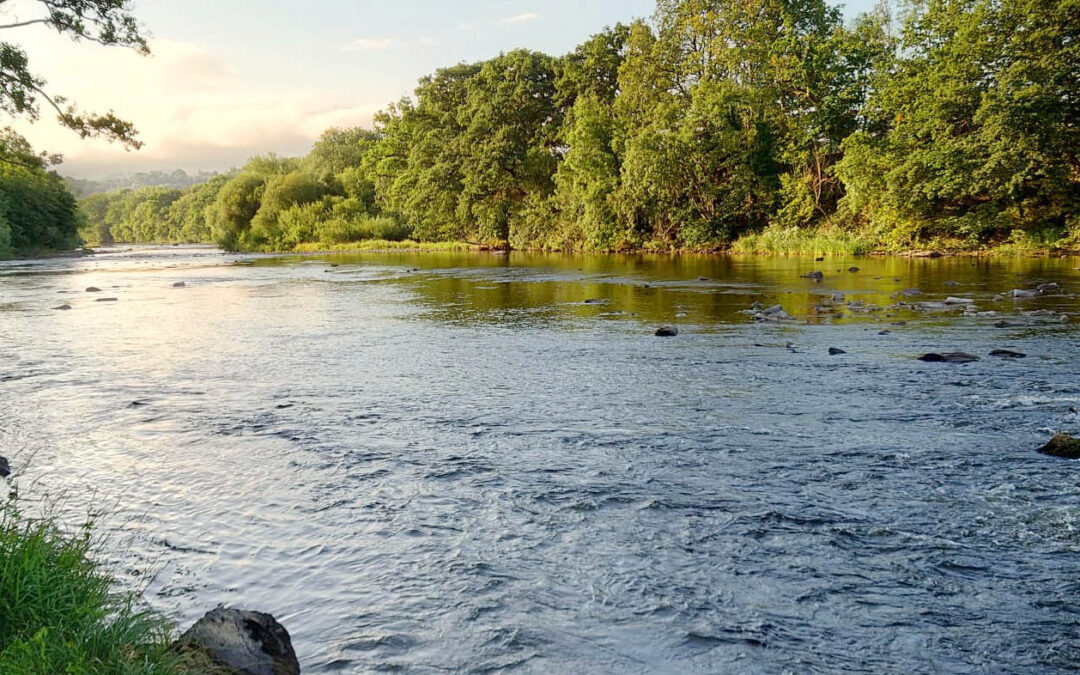 Independent Water Commission Reports
