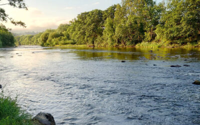 Independent Water Commission Reports