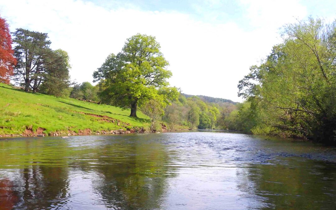 The Current State of Welsh Rivers