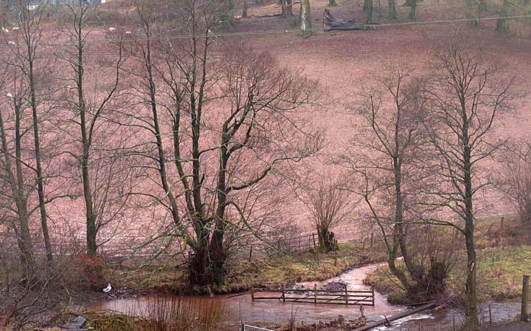 Agricultural Pollution – now is the time for action, not more talking