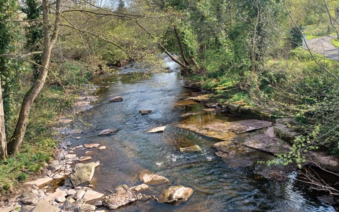 State Of The River Monnow