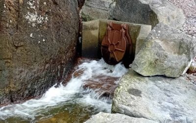 A Drier 2025 But Welsh Water Overflows Still Overflowed