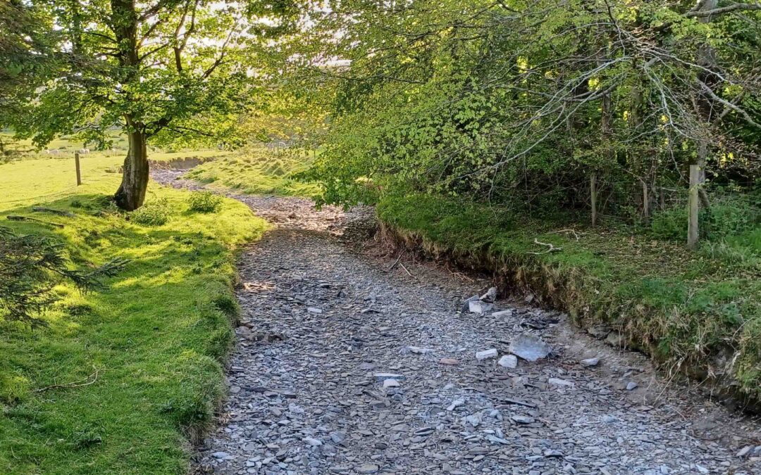 Wales Can And Must Be More Drought Resilient