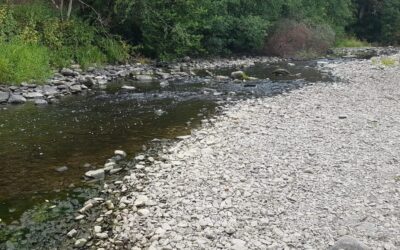 Lowest Recorded Levels Registered In Rivers Across Wales